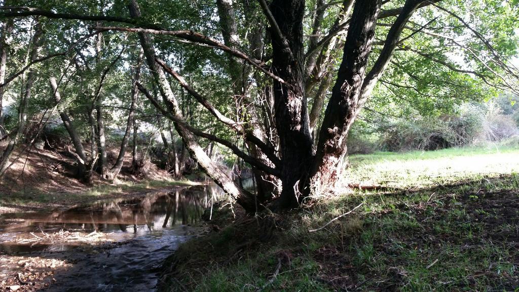 Pensjonat La Casa De San Gil Atienza Zewnętrze zdjęcie